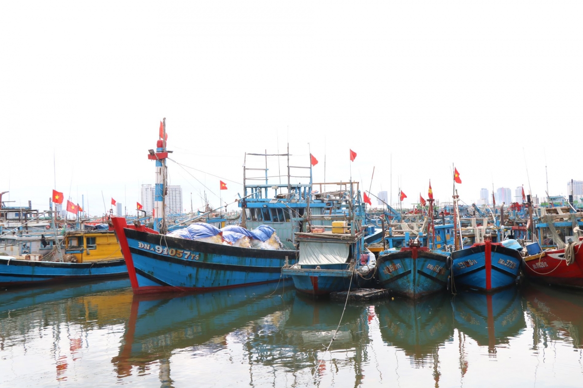 Ngư dân Đà Nẵng sắp xếp phiên biển, sẵn sàng tham gia ngày hội bầu cử